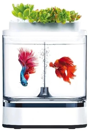 Аквариум 1.5 л Xiaomi Descriptive Geometry C300 Mini Fish Tank