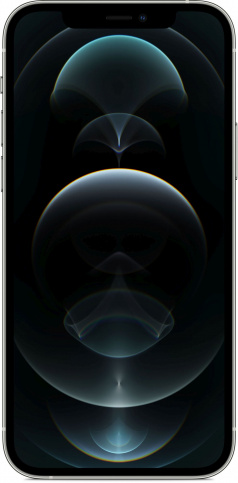 Смартфон Apple iPhone 12 Pro Max 256 ГБ RU, серебристый