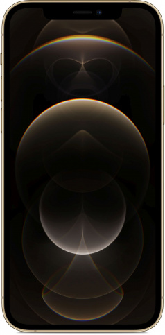 Смартфон Apple iPhone 12 Pro 256 ГБ RU, золотой