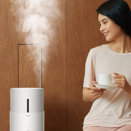 Увлажнитель воздуха Xiaomi Deerma Air Humidifier DEM SJS100