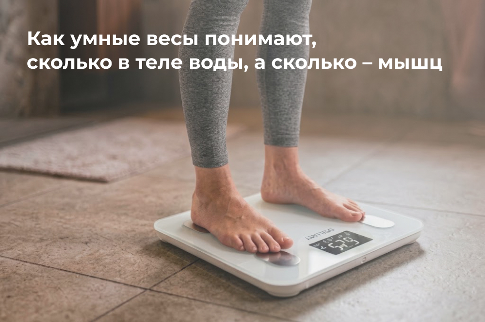 Как умные весы определяют состав тела Как умные весы определяют состав тела
