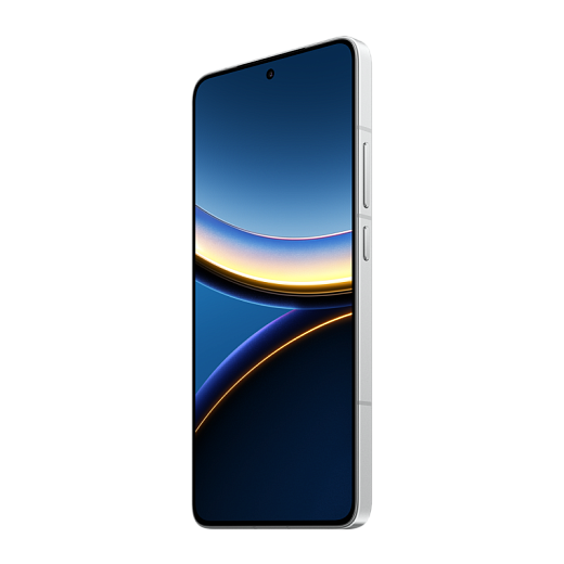 Смартфон Xiaomi POCO F7 Pro 12/512Gb Silver