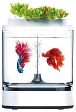 Аквариум 1.5 л Xiaomi Descriptive Geometry C300 Mini Fish Tank