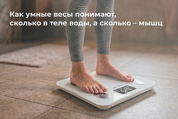 Как умные весы понимают, сколько в теле воды, а сколько – мышц Как умные весы понимают, сколько в теле воды, а сколько – мышц